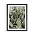 Plakat w ramie 50x70 - Kaktusowa Harmonia - kaktusy, fotografia - rama czarna