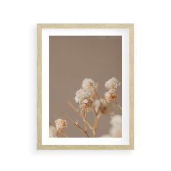 Plakat w ramie 30x40 - Przezroczyste piękno - gipsówka, suche - rama drewno