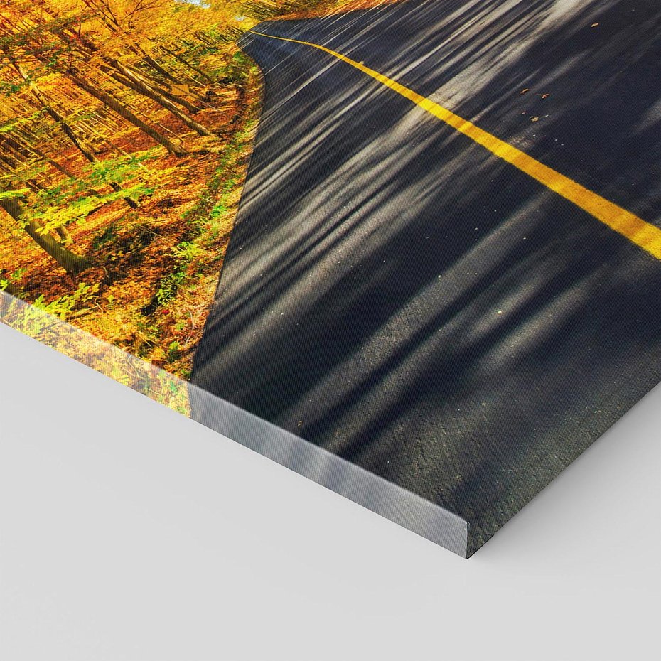 Obraz na płótnie 50x50 - Droga przez jesienny las - droga, las