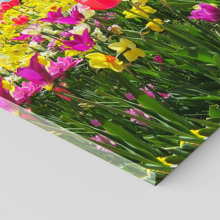 Obraz na płótnie 120x60 - tulipany na łące - kwiaty, tulipany