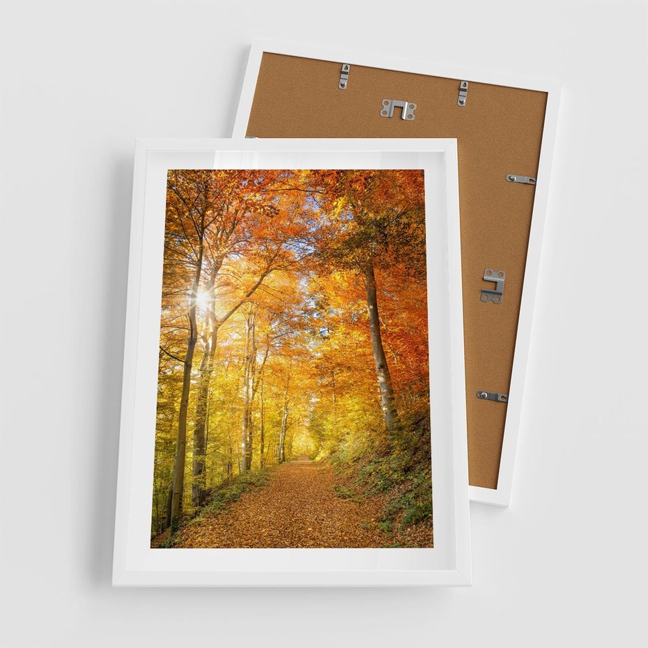 Plakat w ramie 50x70 - Złote barwy jesiennego lasu - las, jesień - rama biała
