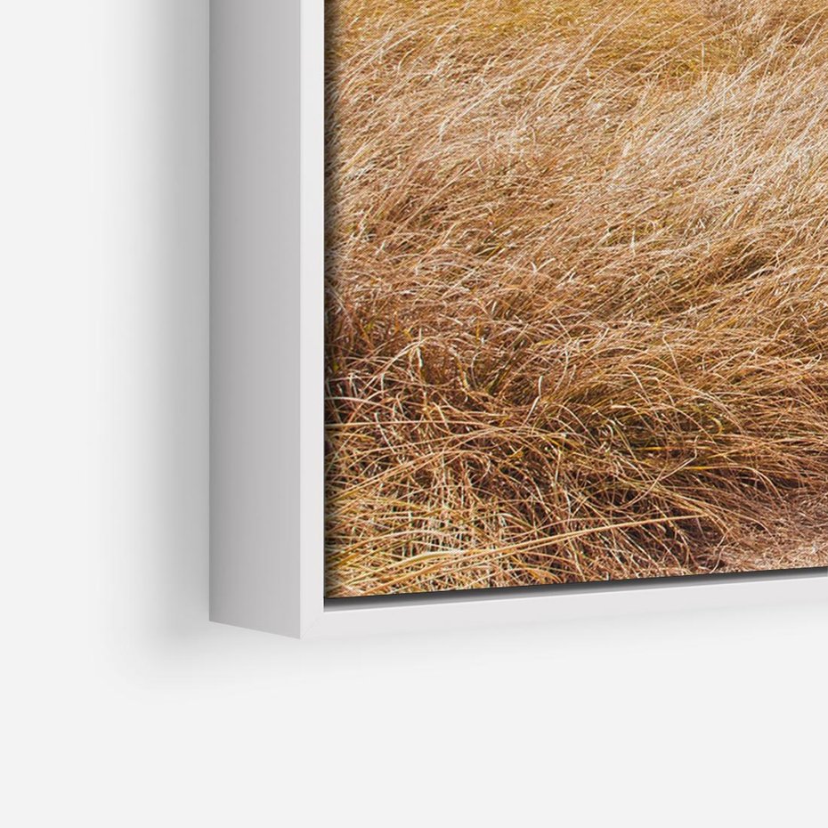 Obraz w ramie 120x80 - Tajemnicza Ścieżka - latarnia morska w oddali, suche trawy - rama biała