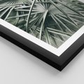 Plakat w ramie 40x50 - Palmy w Zgaszonej Zieleni - palmy, tropikalne liście - rama czarna