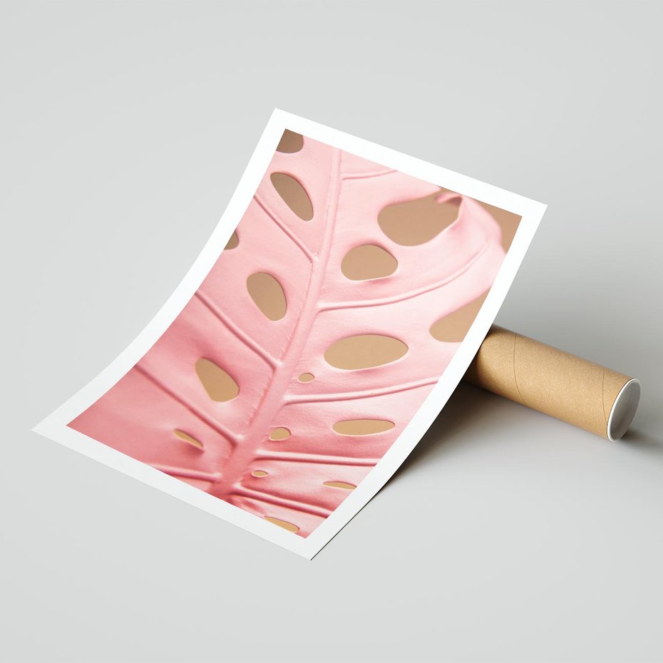 Plakat bez ramy 30x40 - Różowa monstera w pełnym rozkwicie - różowa, monstera