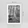 Plakat w ramie 50x70 - Spadające Liście - czarno białe zdjecie, park - rama biała