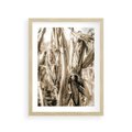 Plakat w ramie 30x40 - Retro Pole Kukurydzy - retro zdjęcie, sepia - rama drewno