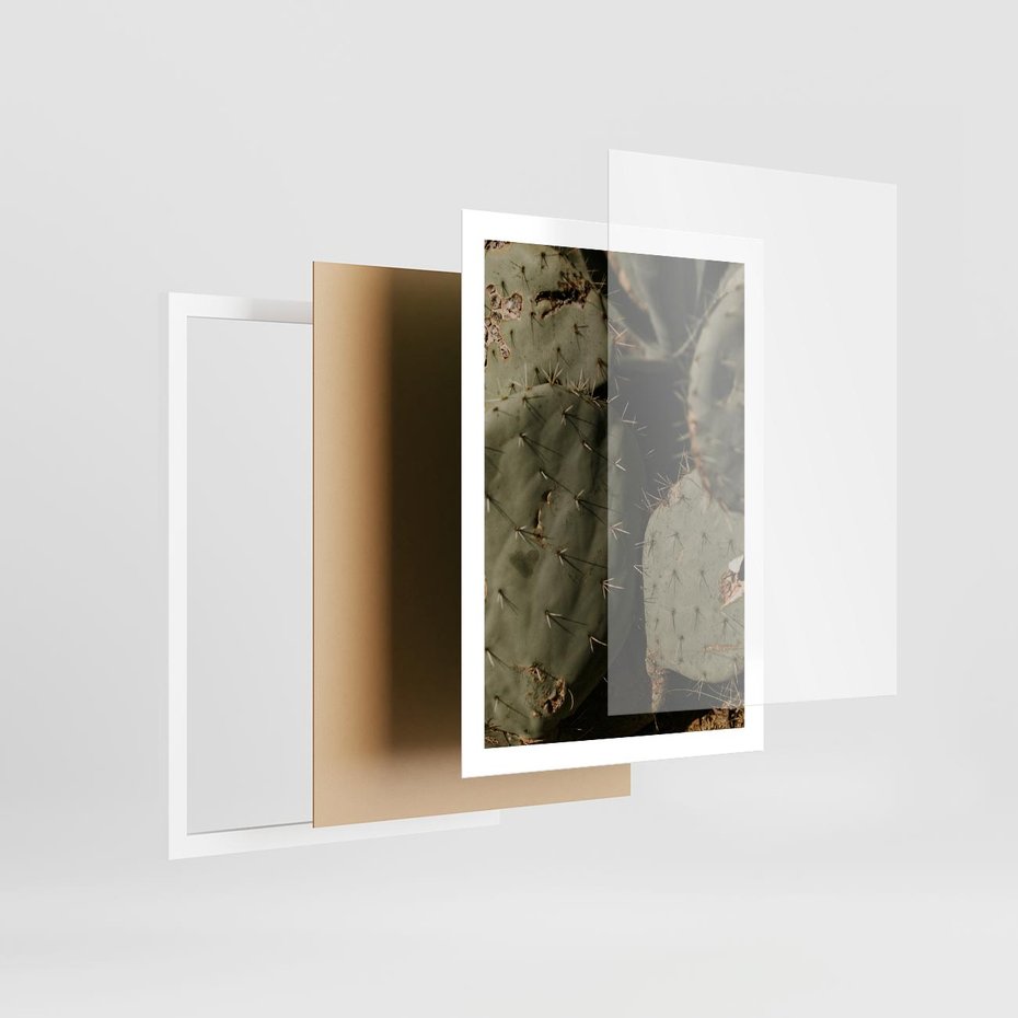 Plakat w ramie 50x70 - Urok Egzotyki - kaktusy, boho - rama biała