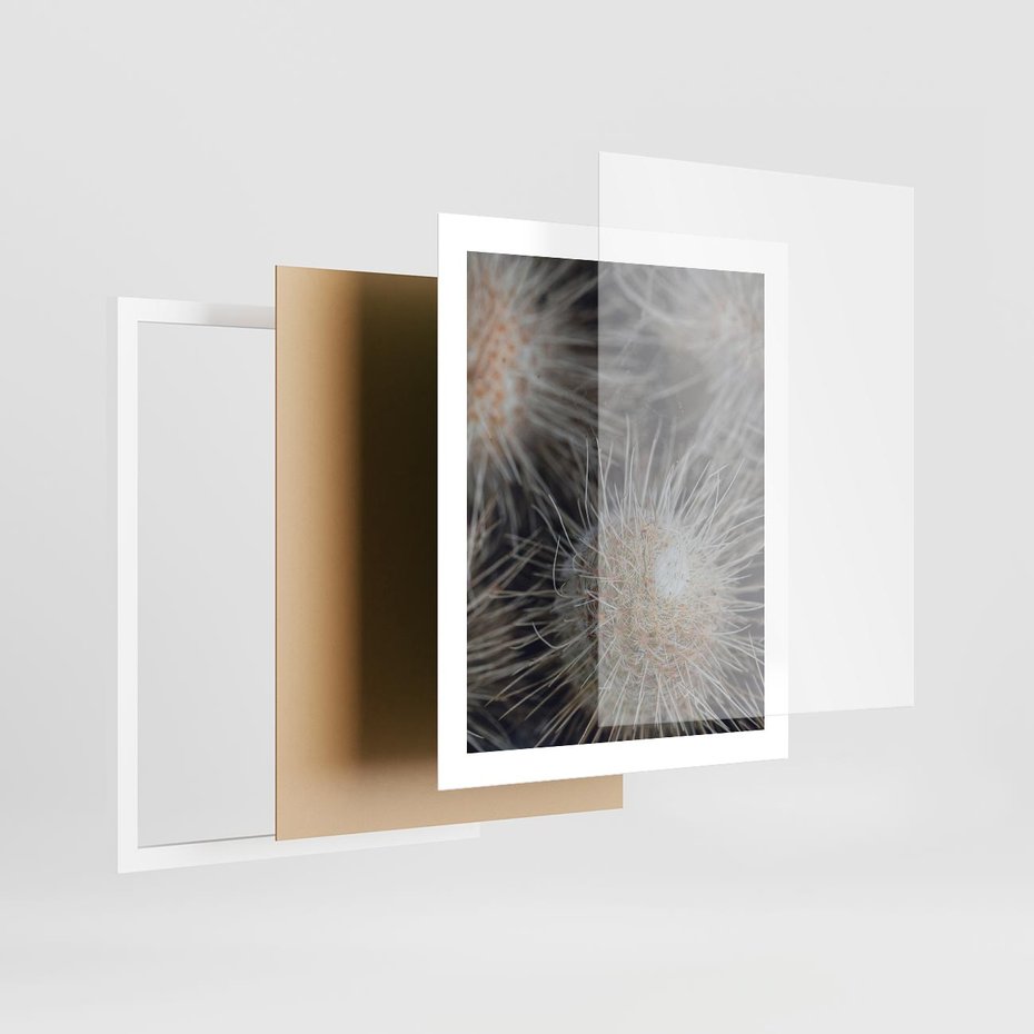 Plakat w ramie 40x50 - Ulotna Piękność Natury - makro, dmuchawce - rama biała