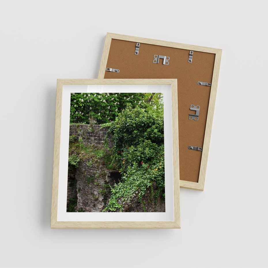 Plakat w ramie 40x50 - Żywiołowa Zieleń - mur, liście - rama drewno