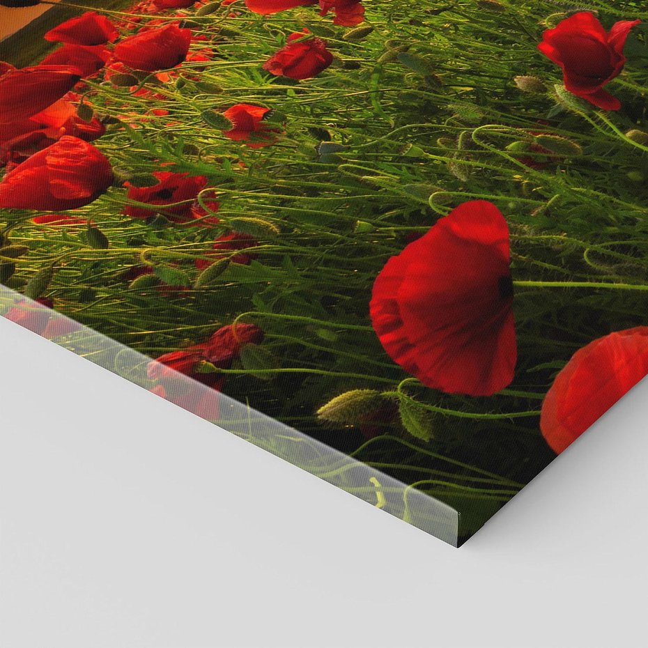 Obraz na płótnie 140x70 - Maki na łące: Przebudzenie wiosny - mak, maki