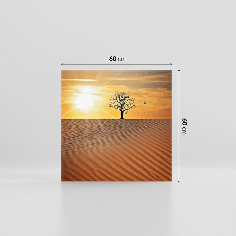 Obraz na płótnie 60x60 - Pustynia - Drzewo i słońce - pustynia, drzewo