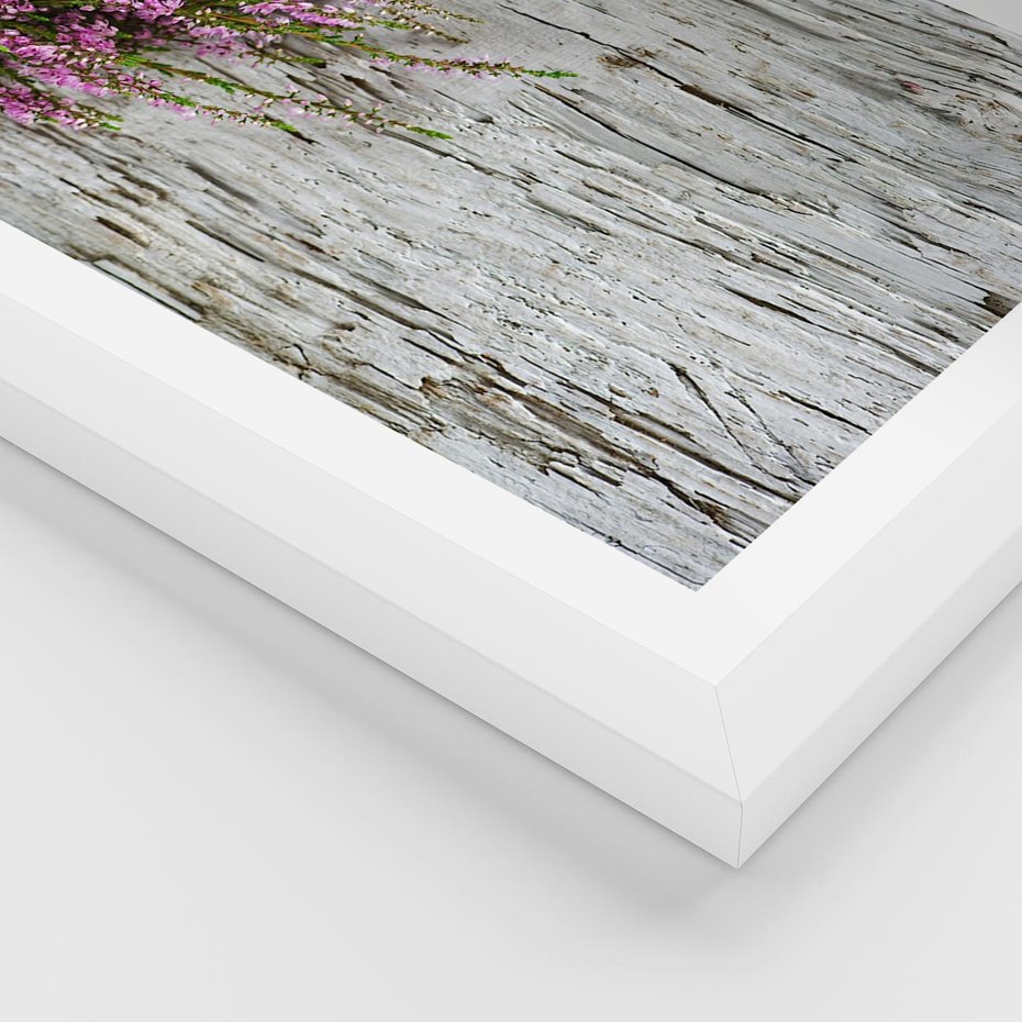 Plakat w ramie 30x40 - Fioletowe Wrzosy - wrzosy, fiolet - rama biała