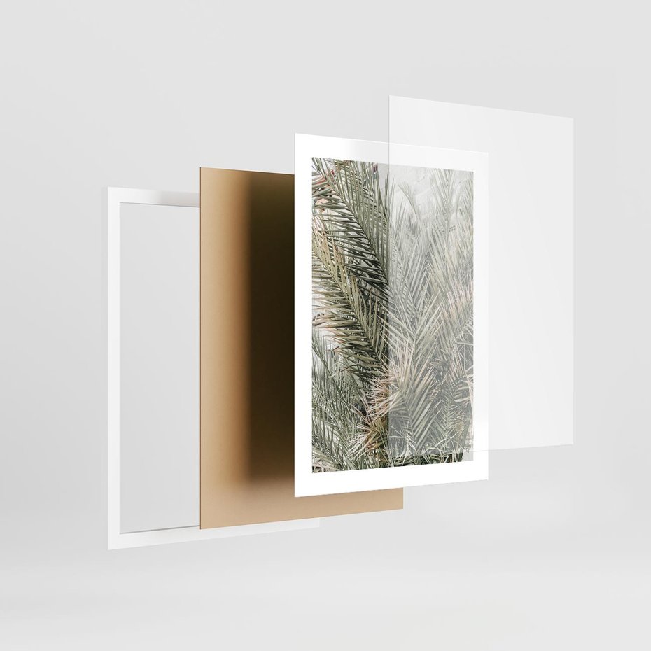 Plakat w ramie 30x40 - Egzotyczny Świat Palm - palmy, liście palmy - rama biała