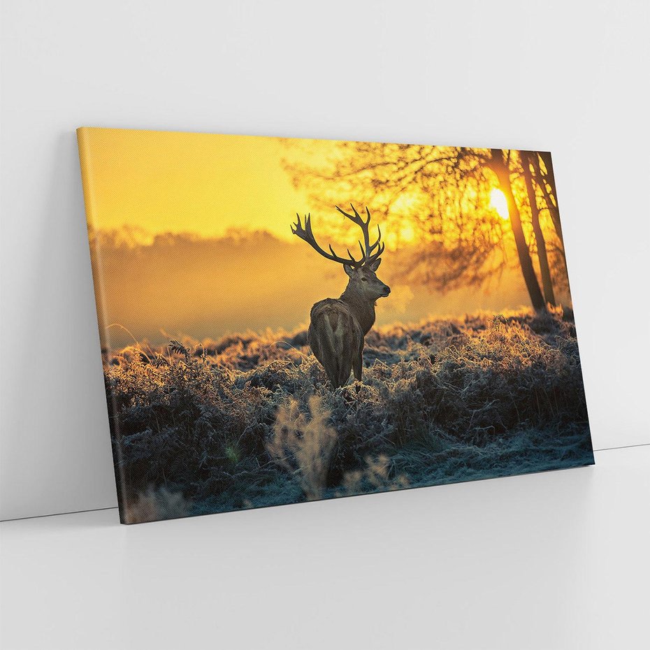 Obraz na płótnie 100x70 - Jesienne Spotkanie w Lesie - jeleń, jesień