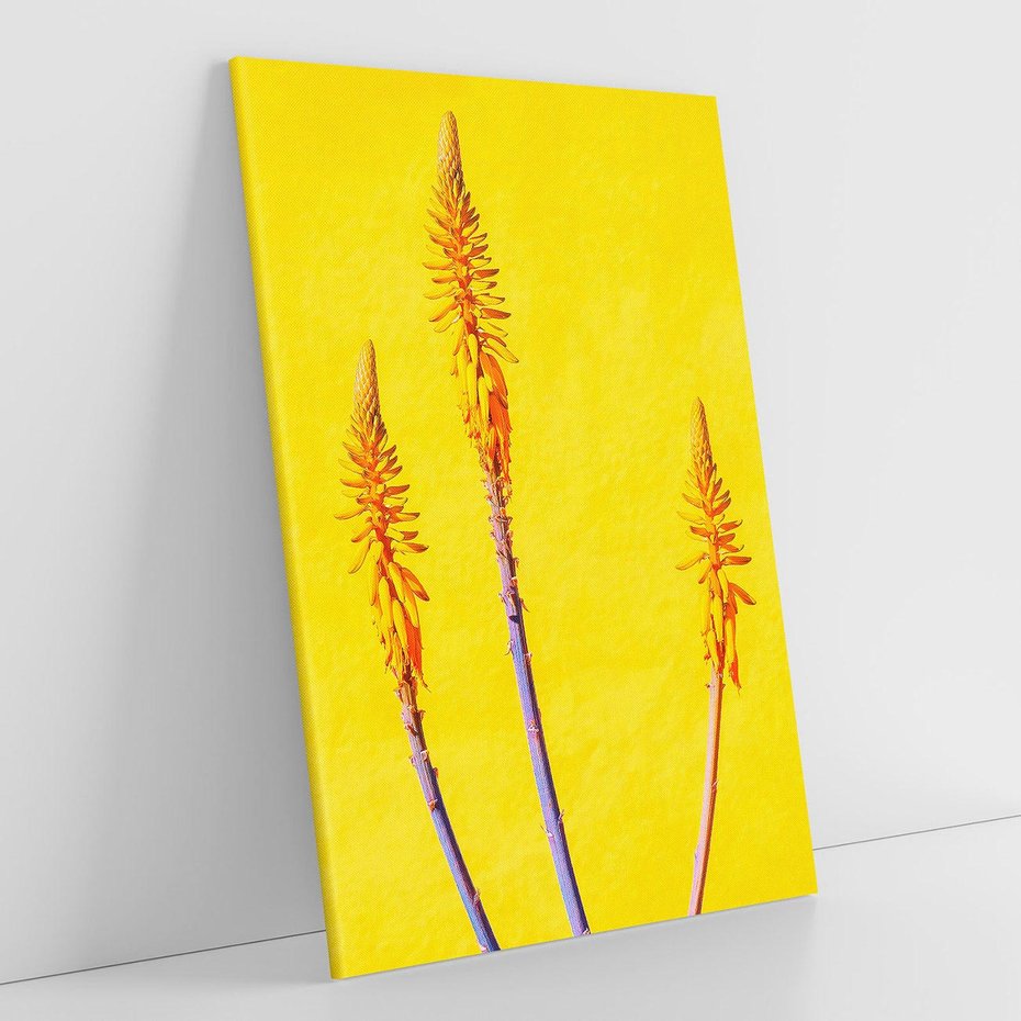 Obraz na płótnie 50x70 - Radość Natury - kolor, kwiaty