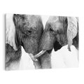 Obraz na płótnie 120x80 - Spotkanie Mądrości - fotografia czarno biała, dwa słonie
