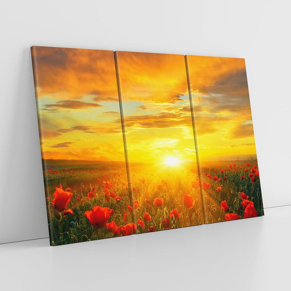 Obraz na płótnie 120x80 - Magia zachodu słońca na łące z makami - łąka, zachód słońca