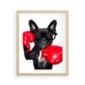 Plakat w ramie 40x50 - Boksujący mops - pies - boks, mops - rama drewno