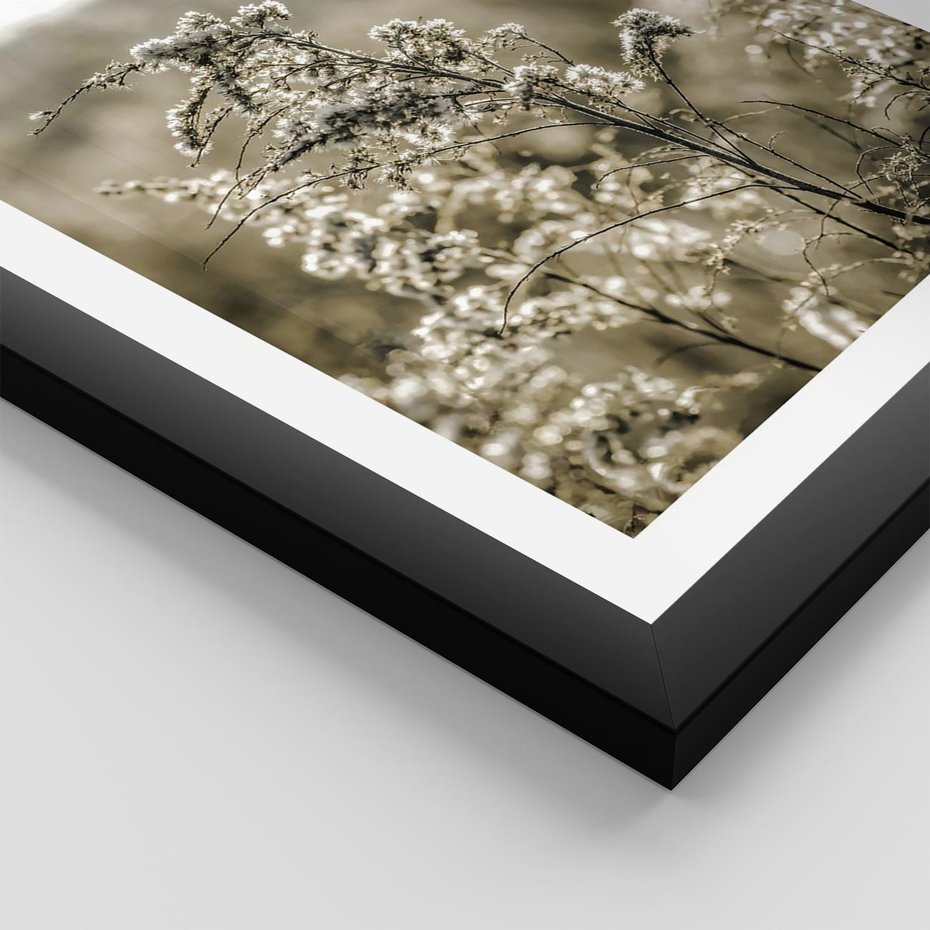 Plakat w ramie 40x50 - Pampas i Bocho - suche trawy, bocho - rama czarna