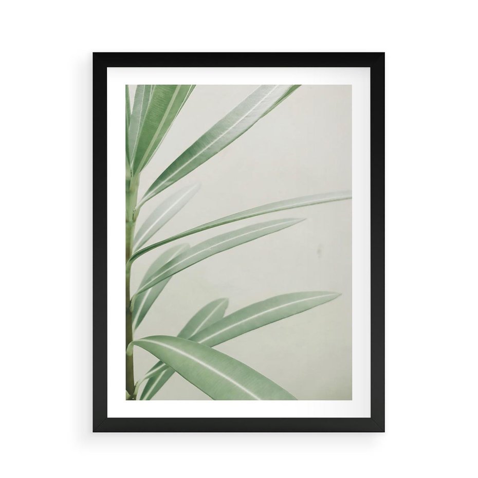 Plakat w ramie 50x70 - Minimalistyczna Tropikalna Harmonia - tropikalna roślina, zielone liście - rama czarna
