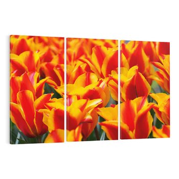 Obraz na płótnie 120x80 - Kwiatowa natura - kwiat, kwiaty