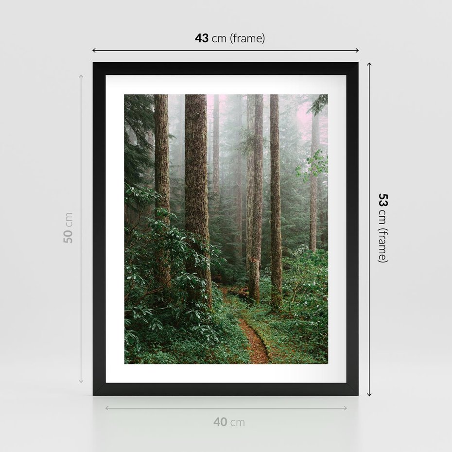 Plakat w ramie 40x50 - Mgliste Marzenia - artystyczna fotografia, las - rama czarna