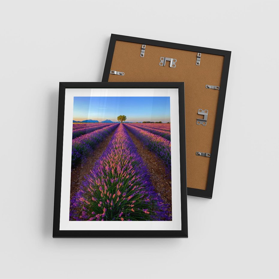 Plakat w ramie 40x50 - Fioletowa Magia - pole, lawendy - rama czarna