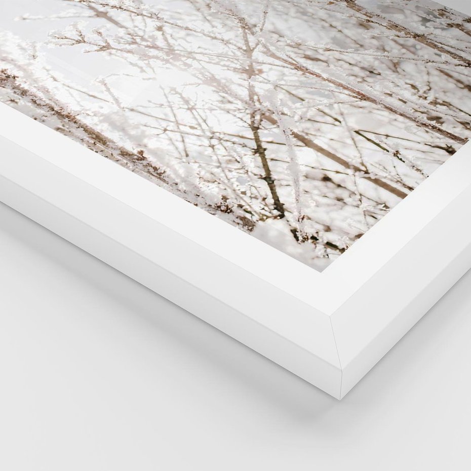 Plakat w ramie 30x40 - Szron na Gałęziach - ośnieżone gałązki, szron na gałęziach - rama biała