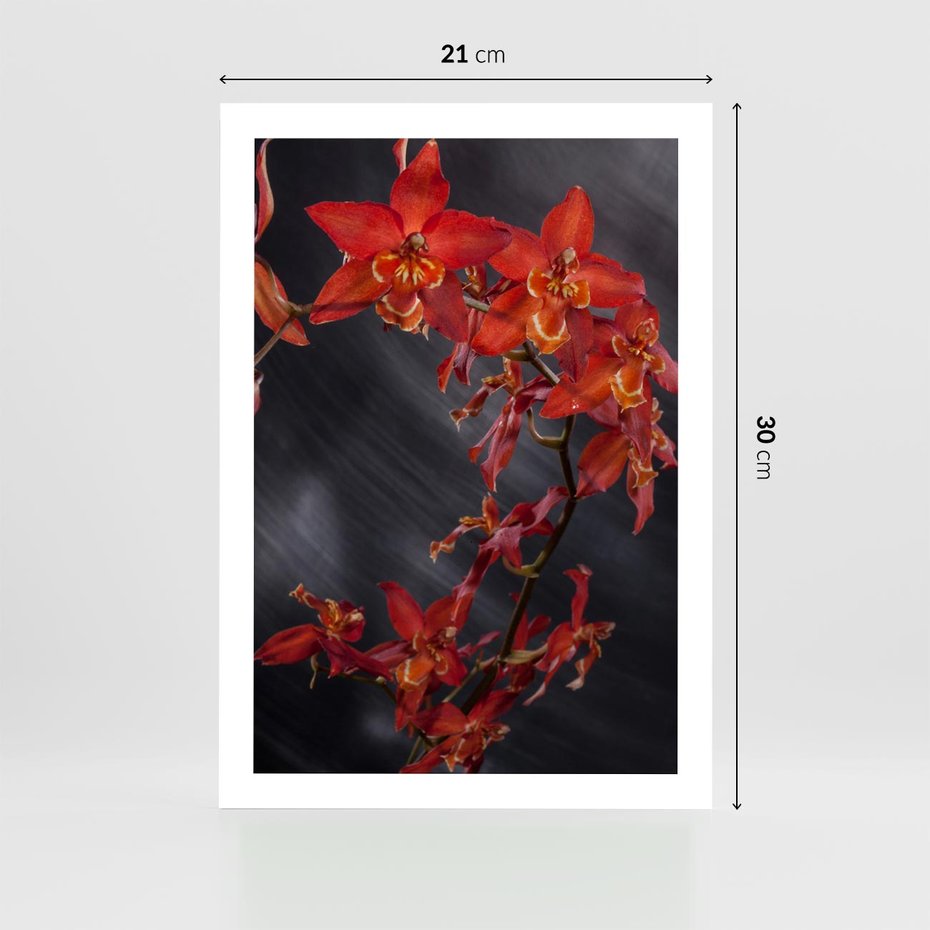 Plakat bez ramy 21x30 - Kolorowy Raj - kwiaty, tropikalne