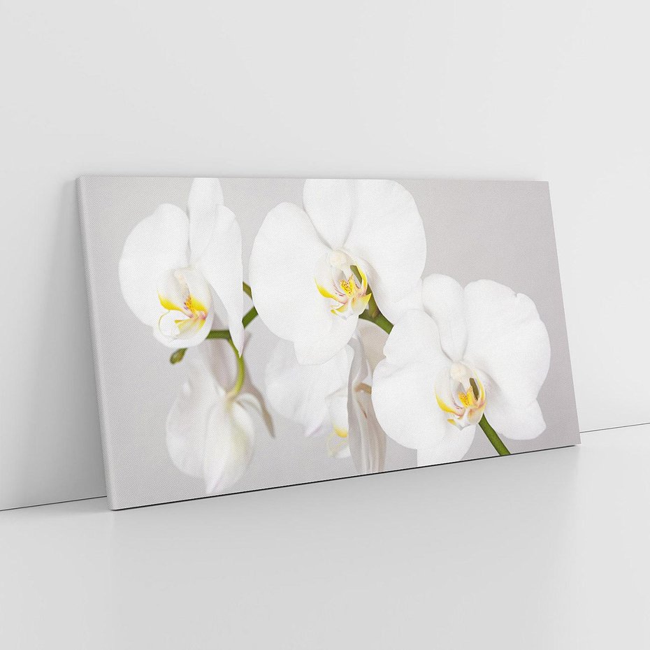 Obraz na płótnie 140x70 - kwiatowy urok - orchidea, kwiat