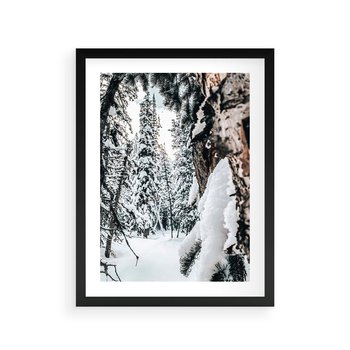 Plakat w ramie 30x40 - Drzewa pod Śniegiem - zima las, drzewa pod śniegiem - rama czarna