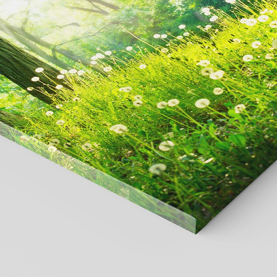 Obraz na płótnie 50x50 - Urok natury - magiczny las na płótnie - las, trawa