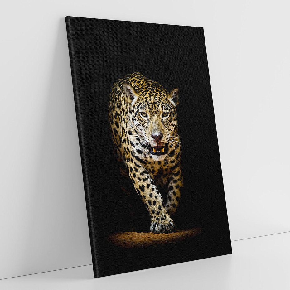 Obraz na płótnie 70x100 - Elegancja lamparta - lampart, pantera