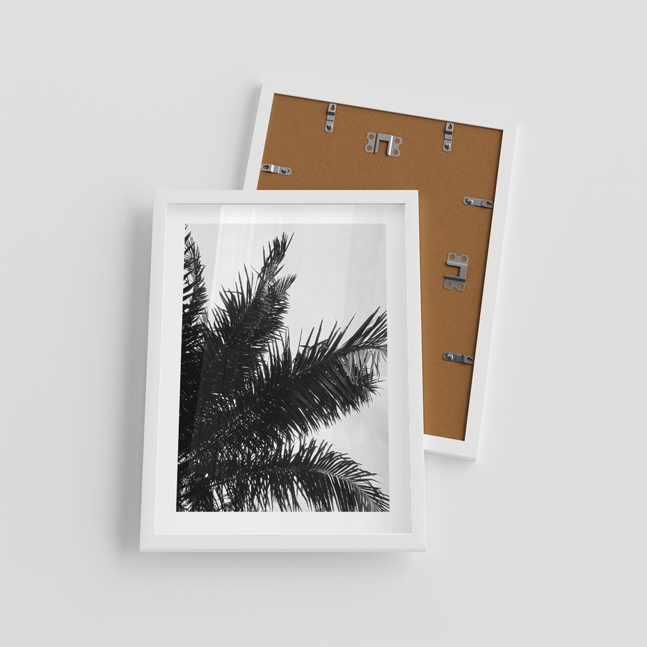 Plakat w ramie 30x40 - Czas Zapomnienia - palmy, czarno biała fotografia - rama biała