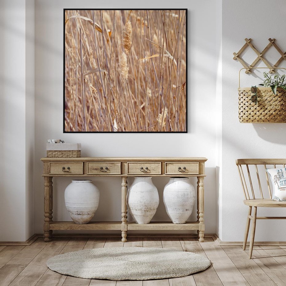 Obraz w ramie 50x50 - Mistrzowskie suche trawy - suche, trawy - rama czarna