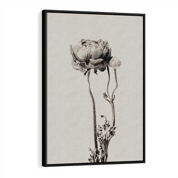 Obraz w ramie 70x100 - Kwiatowa Symfonia w Szarościach - czarno biała odbitka, jak fotografia - rama czarna