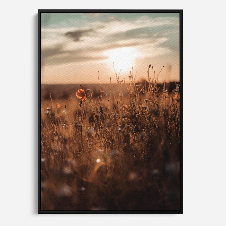 Obraz w ramie 50x70 - Zachwyt zachodem słońca na łące - zachód, słońca - rama czarna