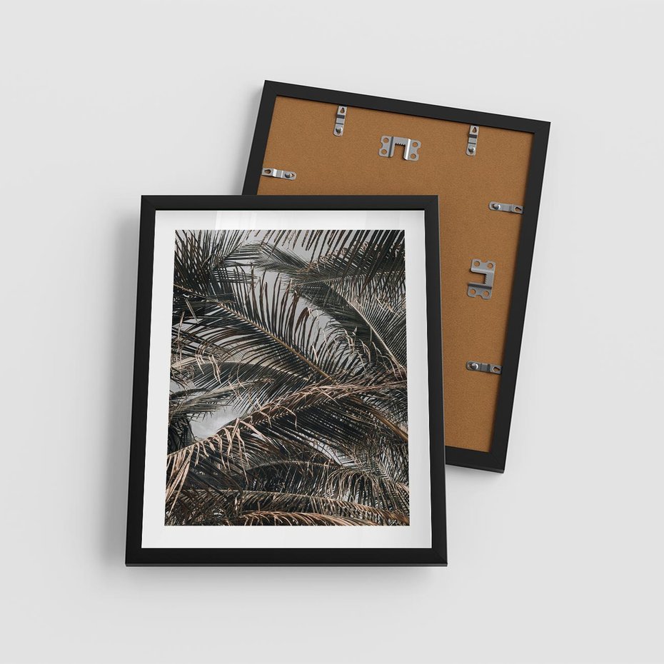 Plakat w ramie 40x50 - Liściaste Palmy - palmy, drzewa palmowe - rama czarna