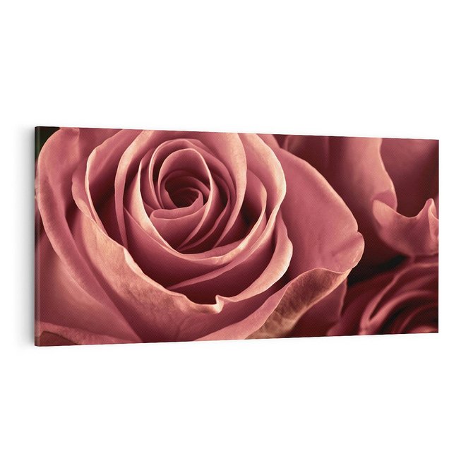 Obraz na płótnie 100x50 - Romantyczna Róż - róża, kwiat