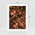 Plakat bez ramy 30x40 - Jesienny Splot: Pomarańczowe Liście - liście, pomarańczowe suche liście
