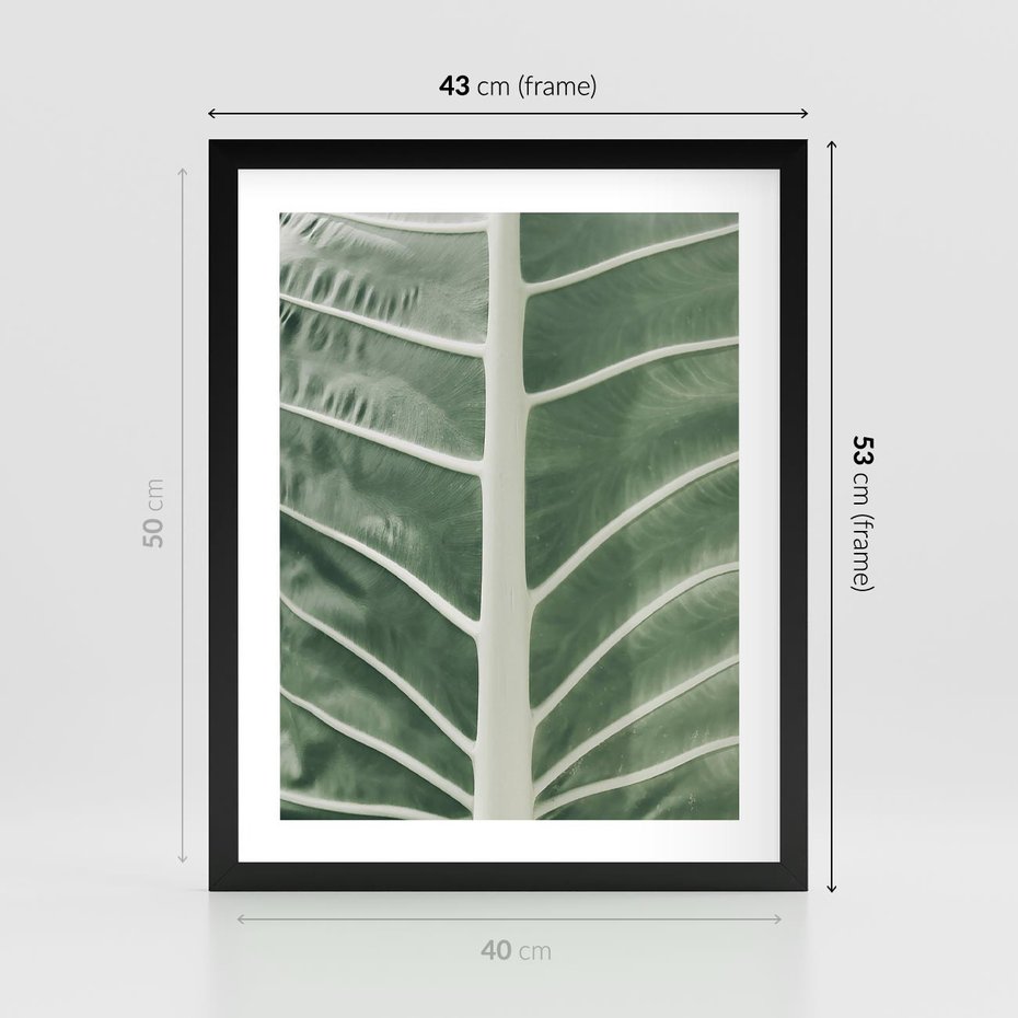 Plakat w ramie 40x50 - Zielone Wielkości: Zbliżenie Liścia - zbliżenie duz liść, jasna zieleń - rama czarna