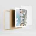 Plakat w ramie 40x50 - Pod Błękitnym Niebem - palmy, ujęcie z dołu - rama drewno