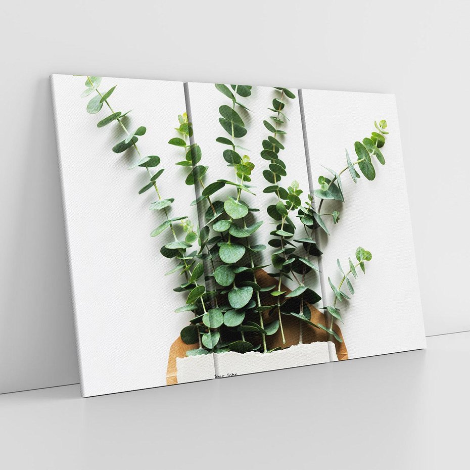 Obraz na płótnie 120x80 - Eukaliptusowa harmonia - eukaliptus, liście