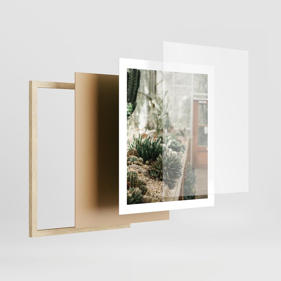 Plakat w ramie 40x50 - Sukulenty w Szklarni - sukulenty, w szklarni - rama drewno