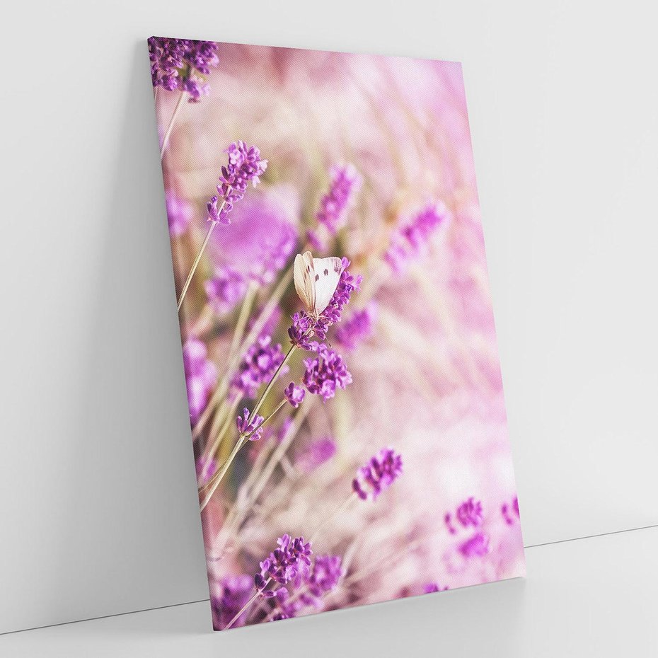 Obraz na płótnie 70x100 - Majestat lawendy: fioletowe pola - lawenda, fiolet