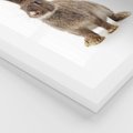 Plakat w ramie 30x40 - Delikatna Zwierzęca Uroda - królik, zwierzę - rama biała