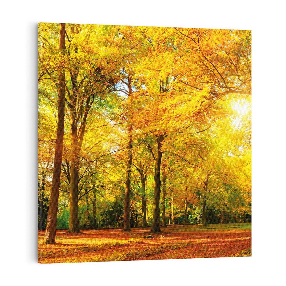 Obraz na płótnie 40x40 - Urok jesiennego lasu - las, drzewa