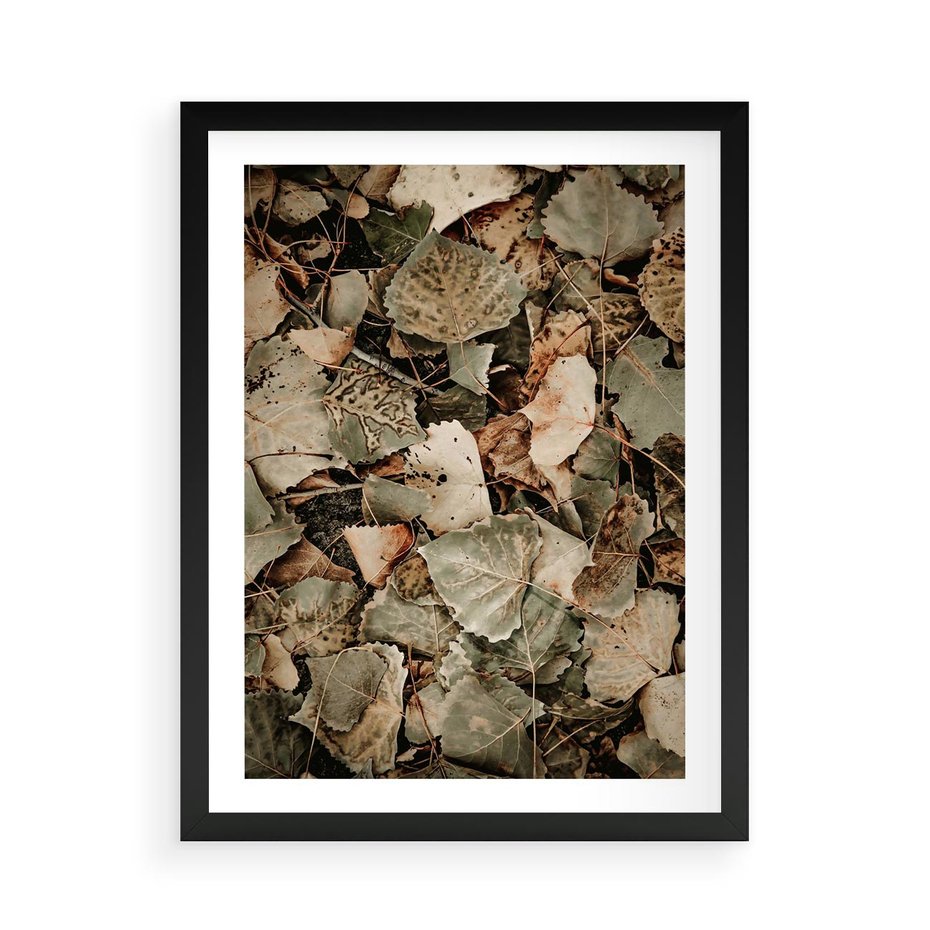 Plakat w ramie 50x70 - Magia Jesiennych Liści - liście, suche liście - rama czarna