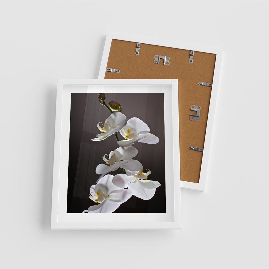 Plakat w ramie 40x50 - SPA: harmonia z kwiatami - spa, kwiaty - rama biała