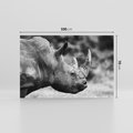 Obraz na płótnie 100x70 - Potęga Afryki - czarno biała fotografia, zbliżenie na postać nosorożca